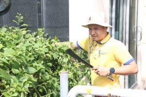 ภาพประกอบเว็บไซต์