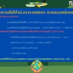 ภาพประกอบเว็บไซต์